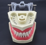 860 Upper Ivorine Jaw with Front Screws for Mounting Rubber Dams